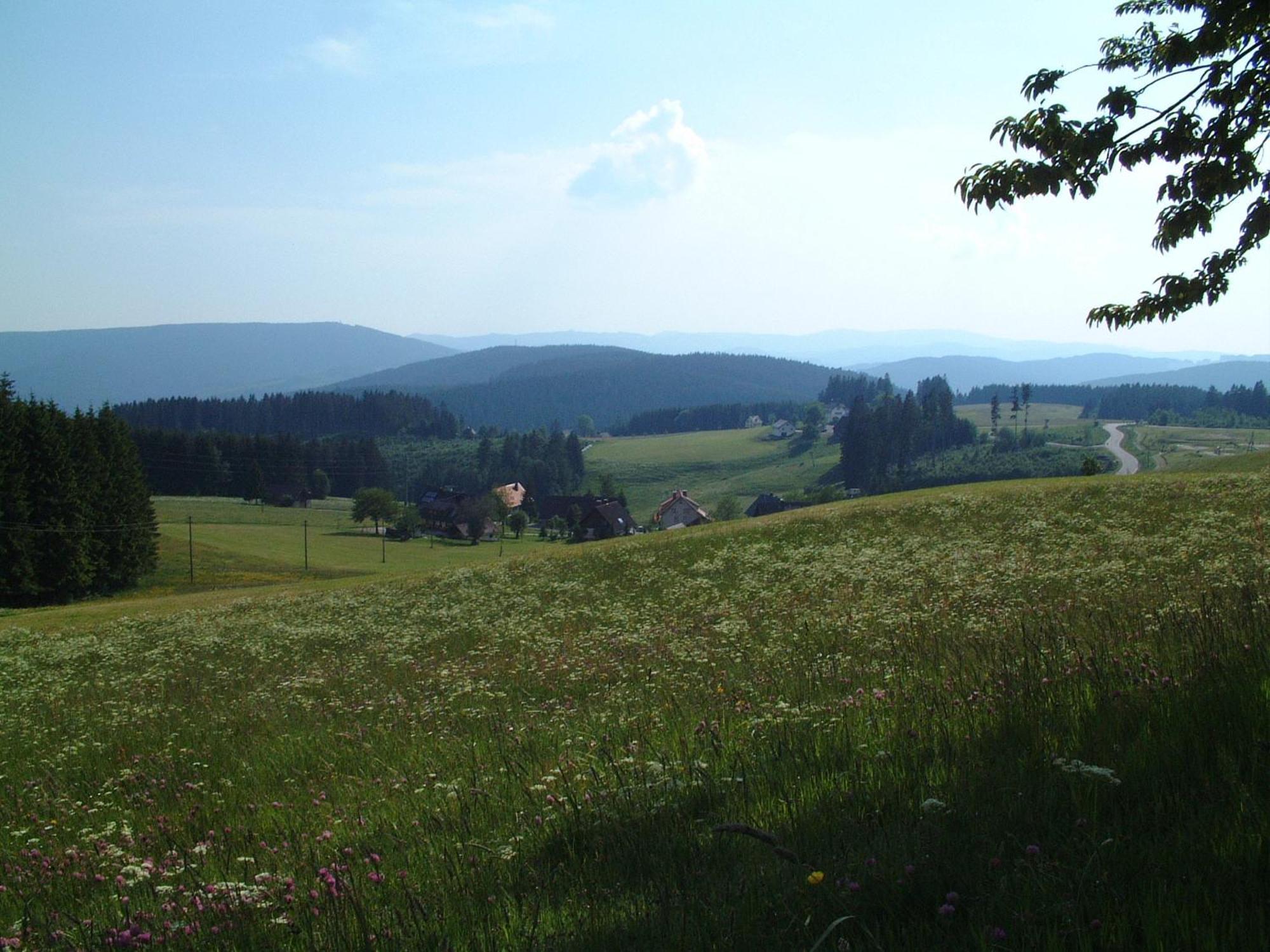 Cafe-Pension Feldbergblick Titisee-Neustadt Eksteriør bilde