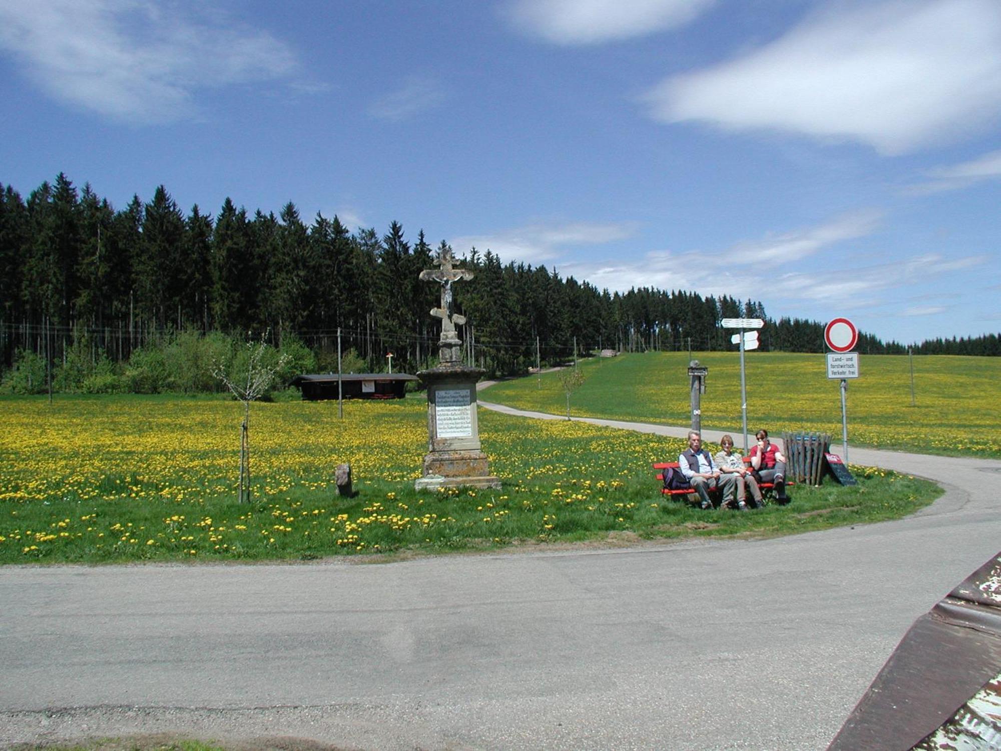 Cafe-Pension Feldbergblick Titisee-Neustadt Eksteriør bilde
